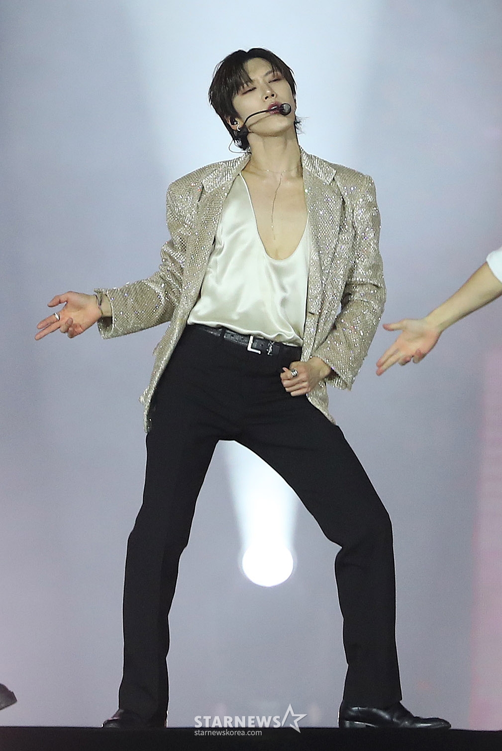 사진