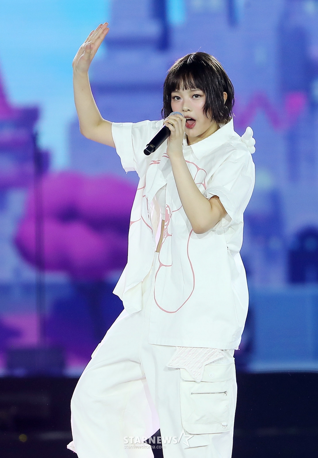 사진