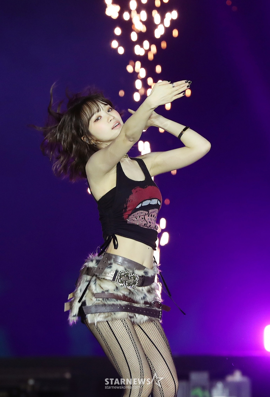 사진