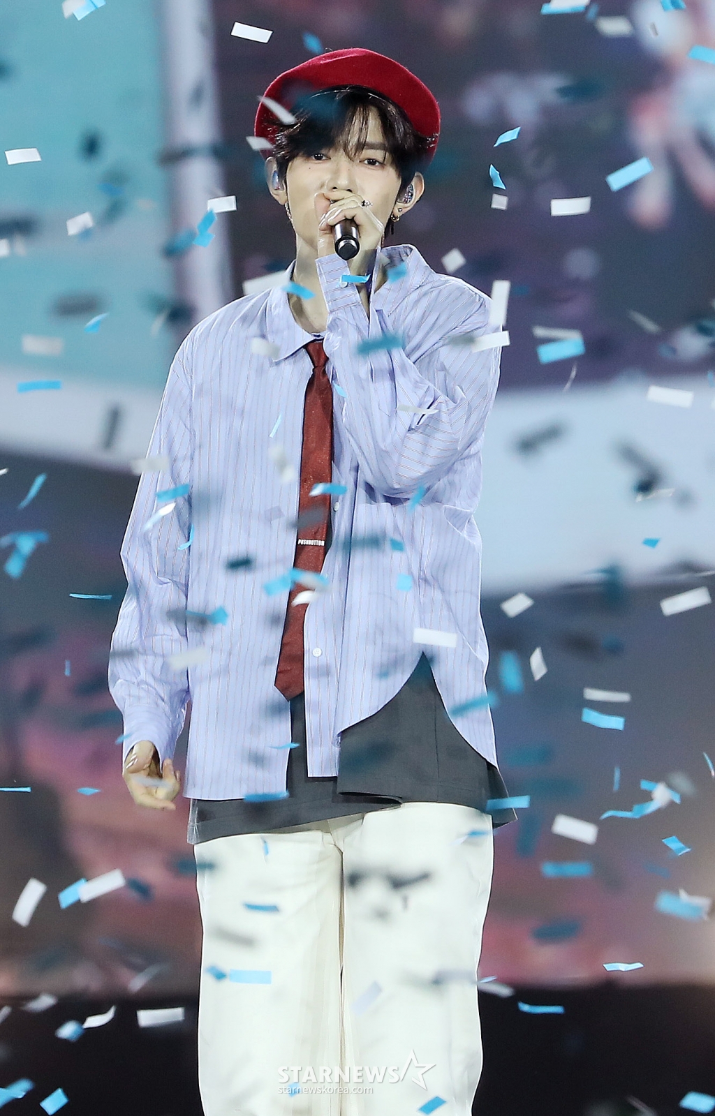 사진