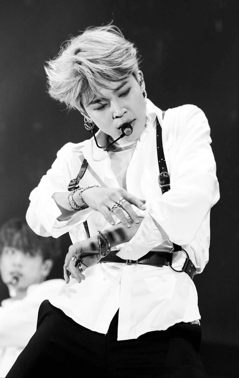 사진