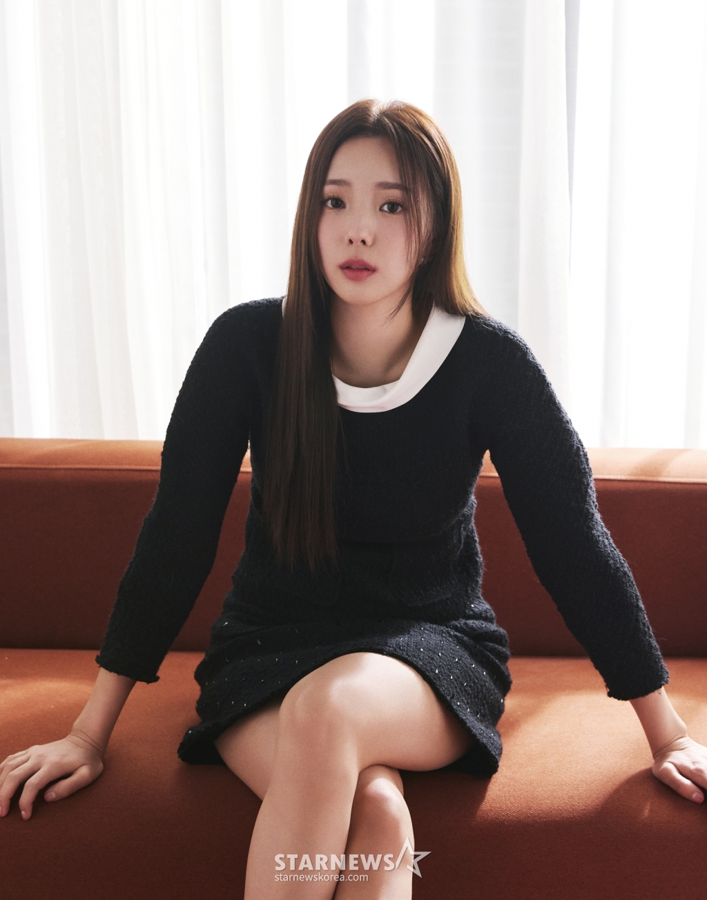 사진