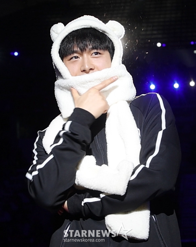 사진