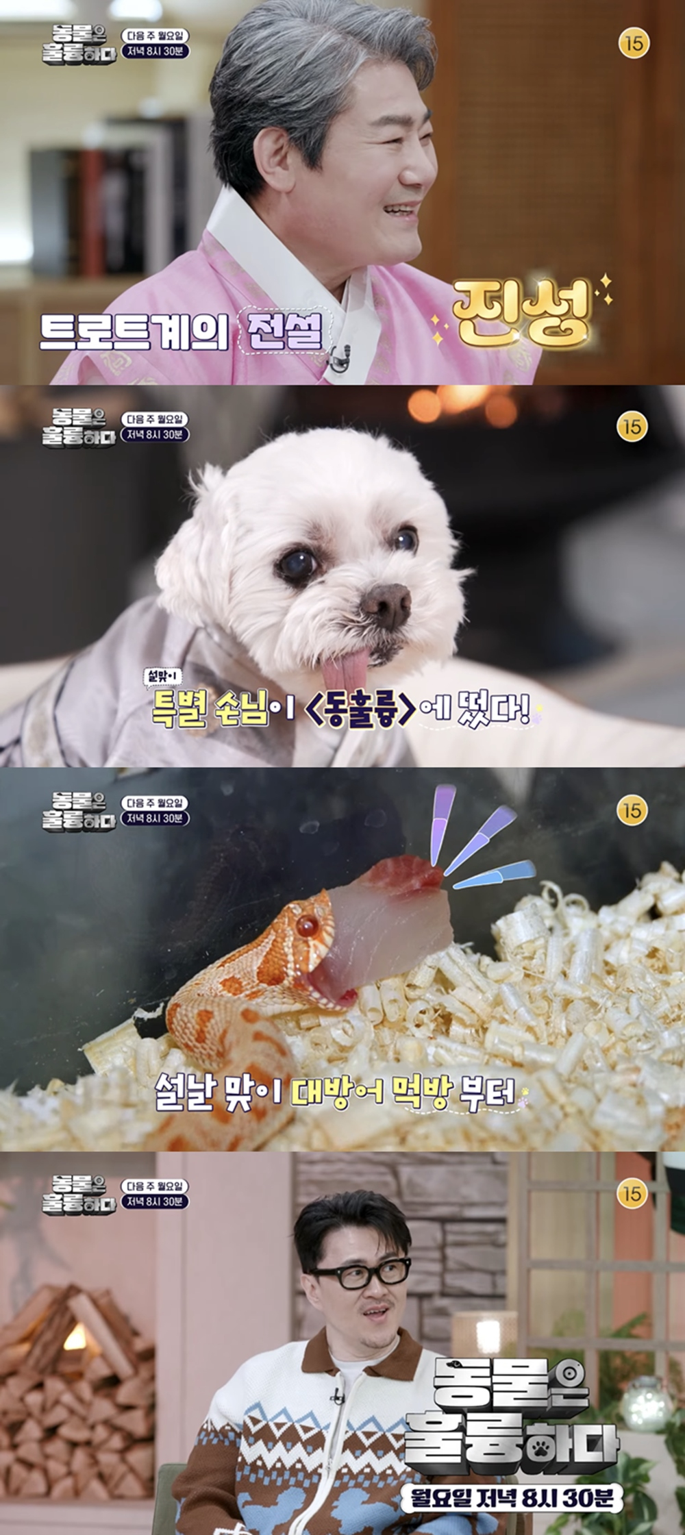 /사진=KBS