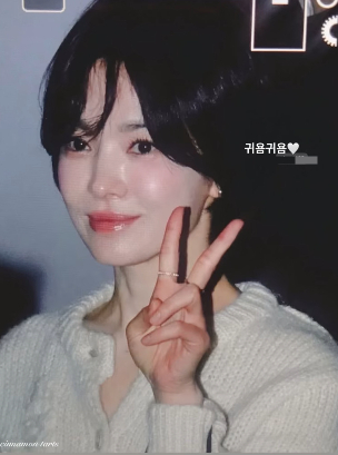 /사진=송혜교 SNS
