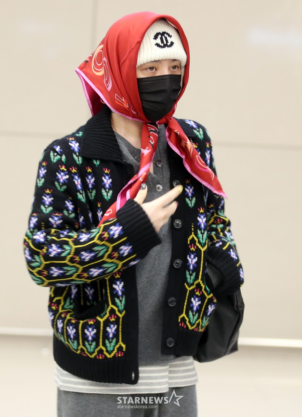 사진