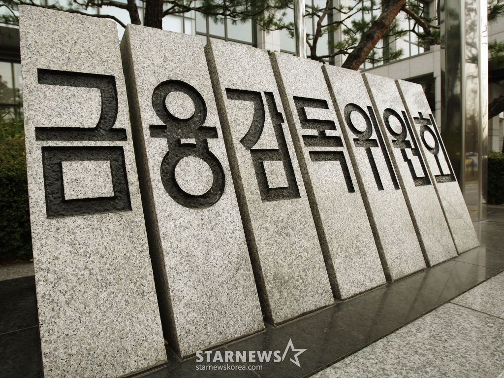 금융감독원 /사진=머니투데이DB