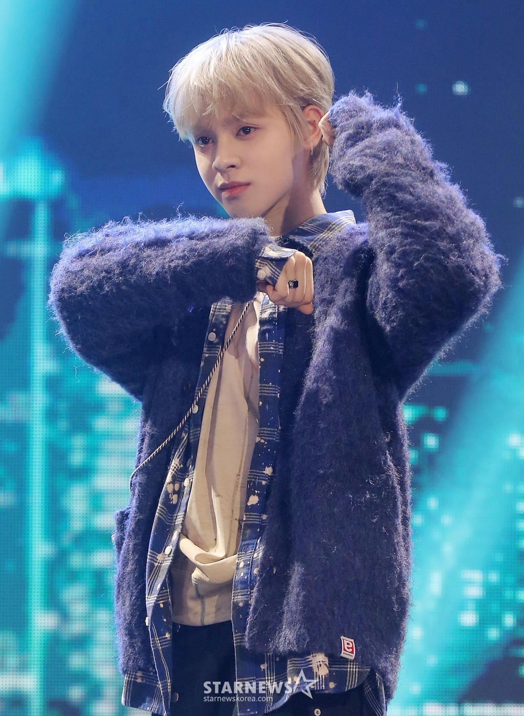 사진