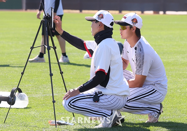 사진