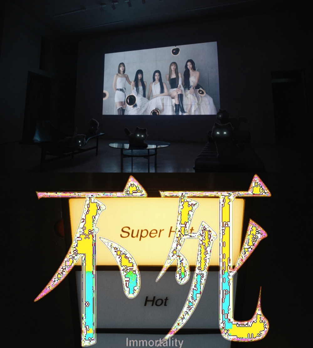 사진