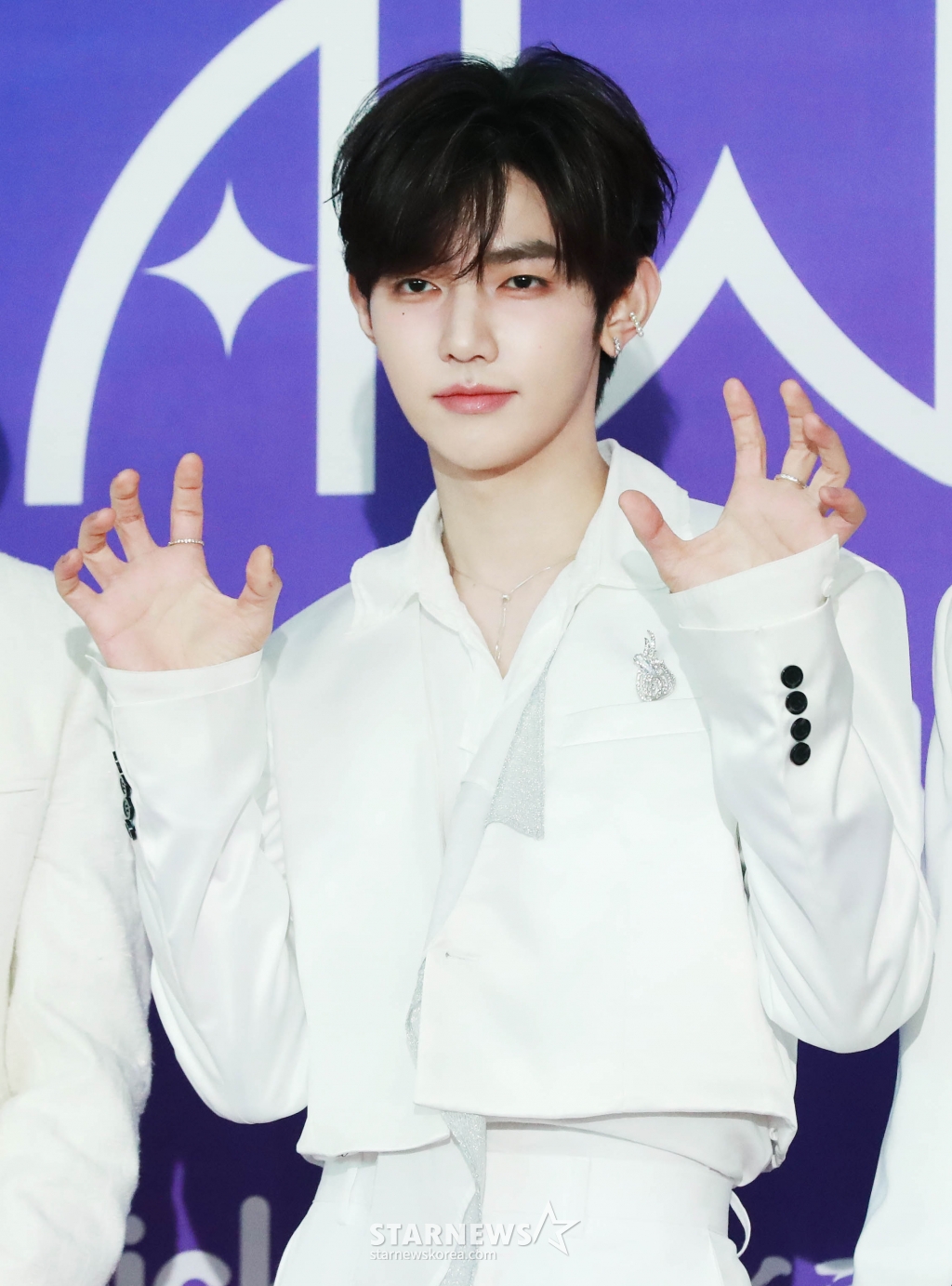 사진