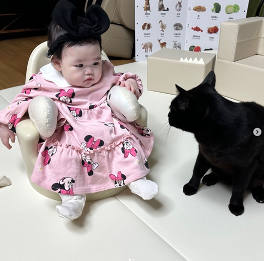 /사진=박수홍 개인계정
