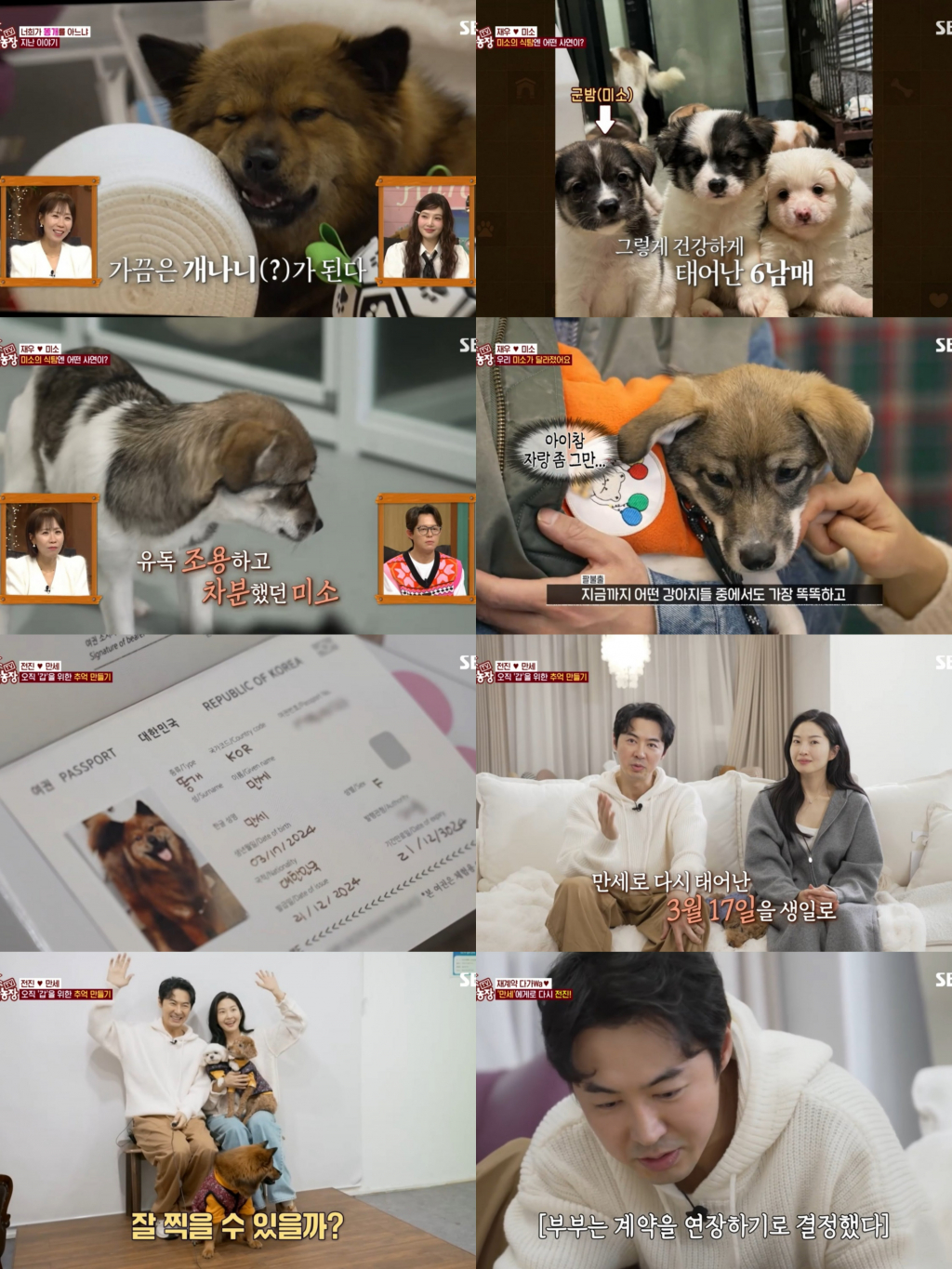 /사진=SBS