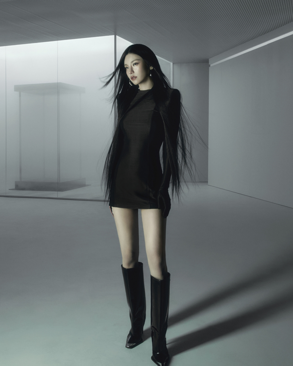사진