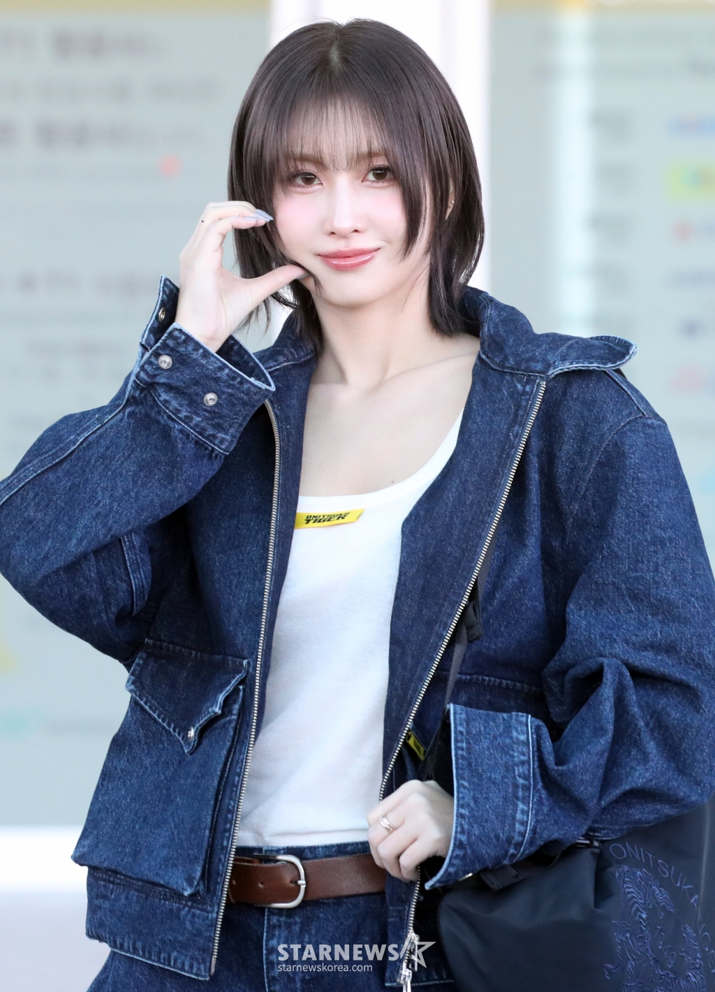 사진
