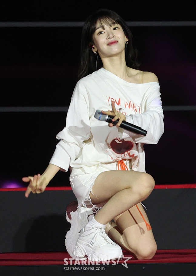 사진