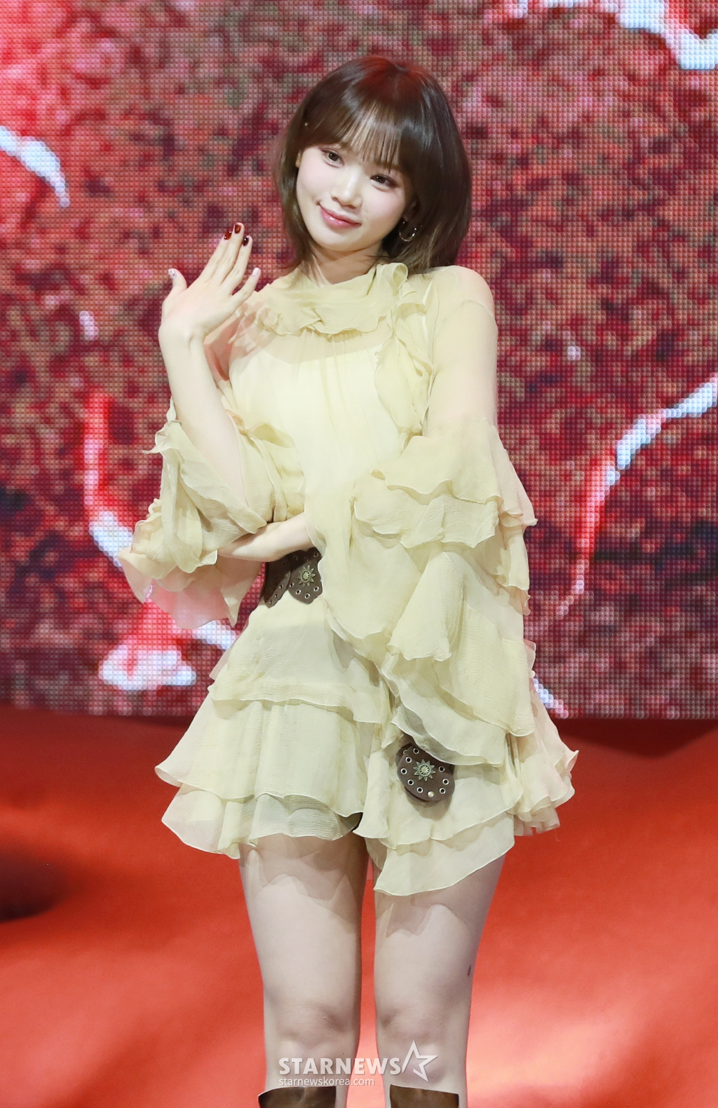 사진
