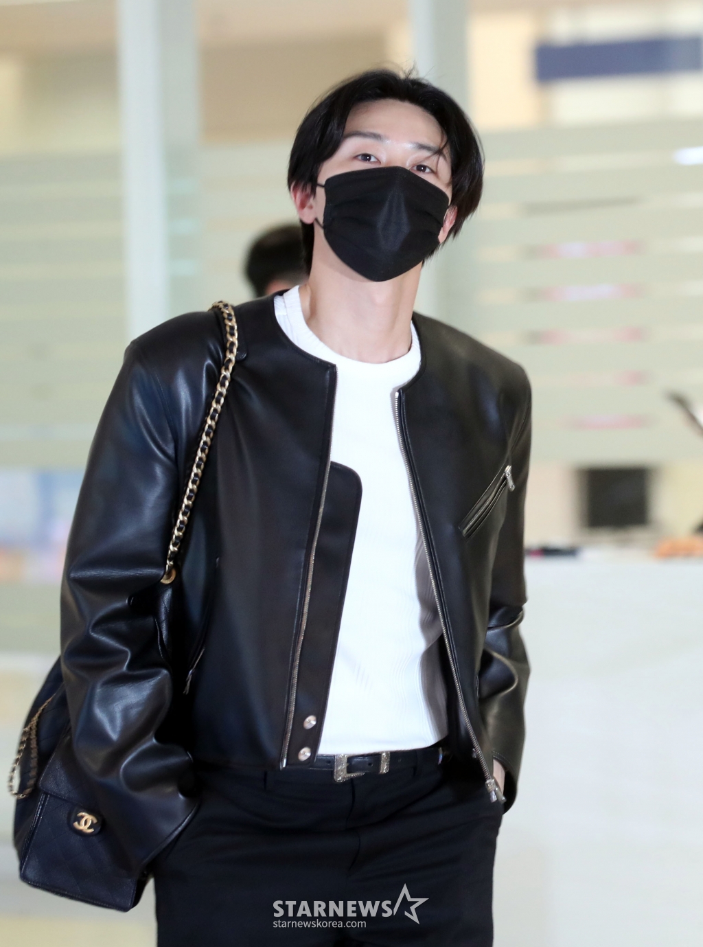 사진