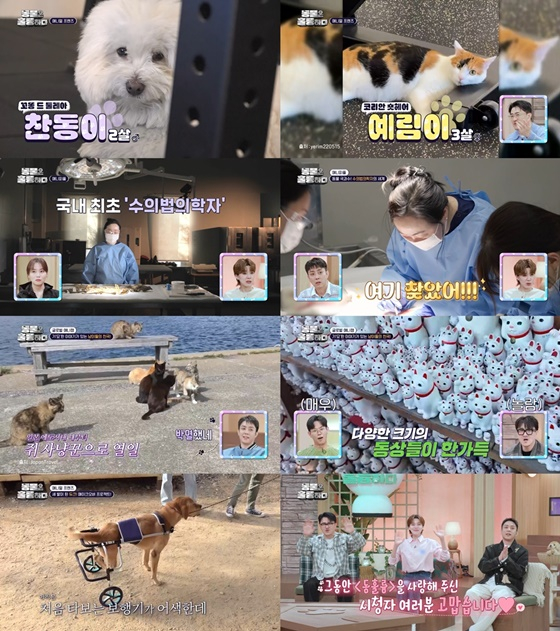 /사진='동물은 훌륭하다'