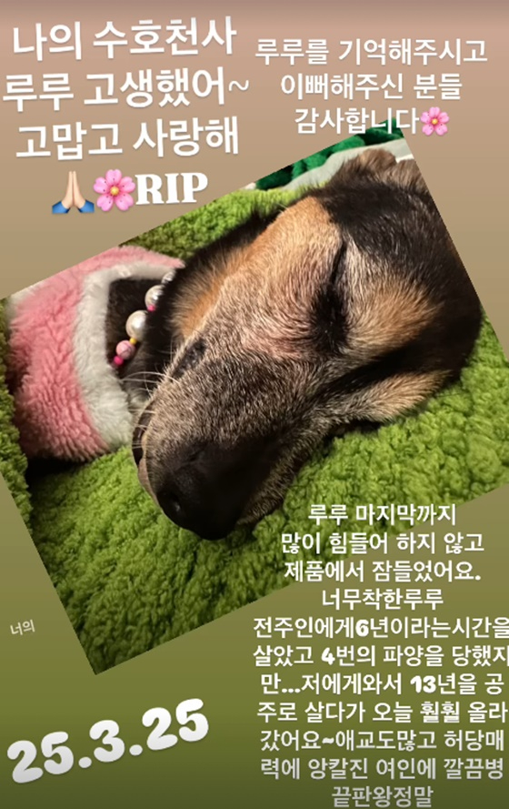 /사진=길건