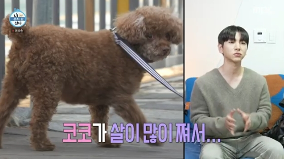 /사진=MBC '나 혼자 산다' 방송화면