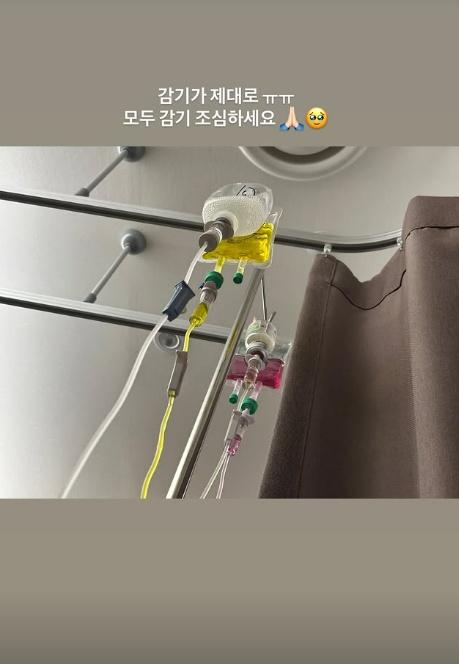 /사진=송가인