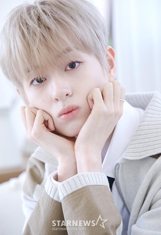 사진