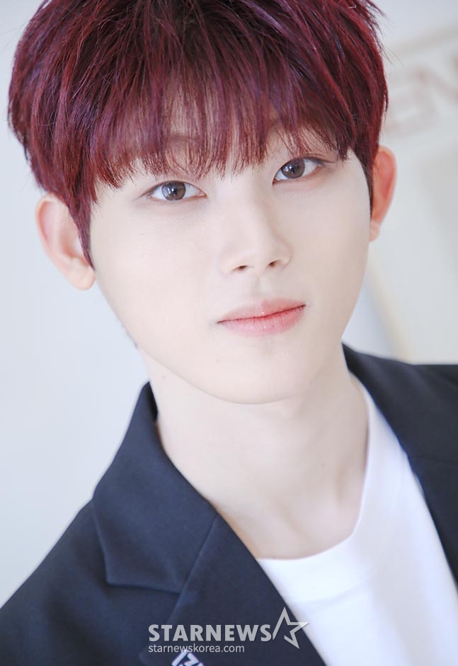 사진