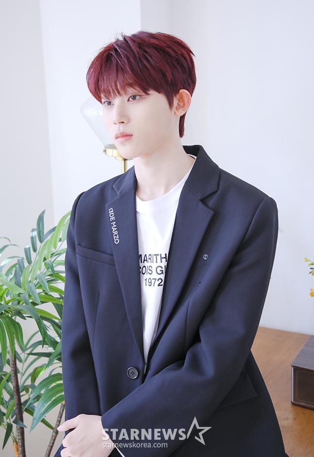 사진