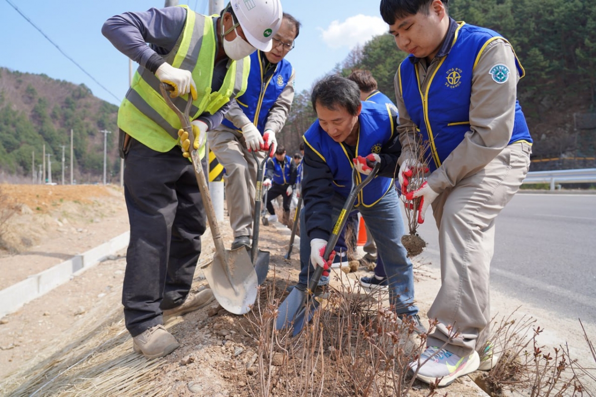 2일 오후 경북 봉화군 석포면 일대에서 영풍 석포제련소 및 석포면사무소 임직원들이 꽃나무를 심고 있다.