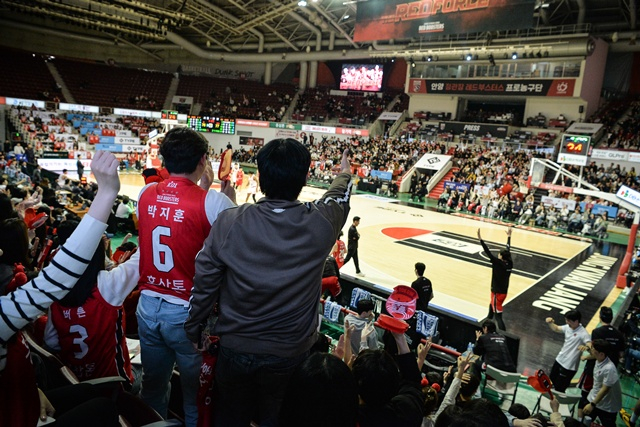안양 정관장 팬들. /사진=KBL 제공