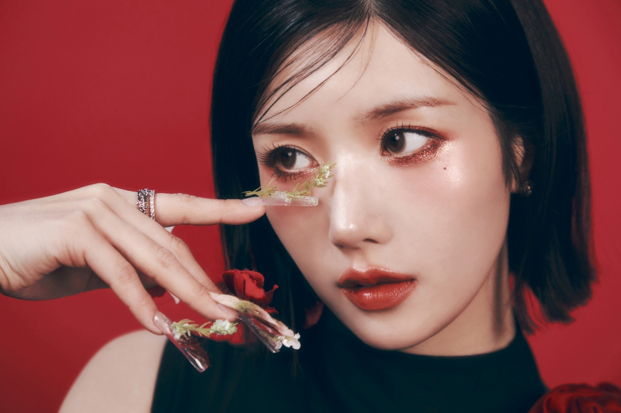 사진