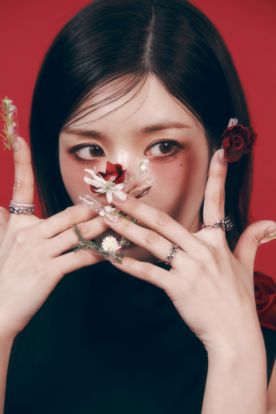 사진