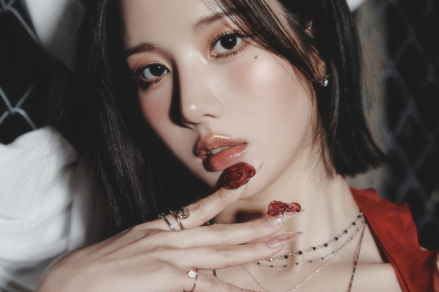사진