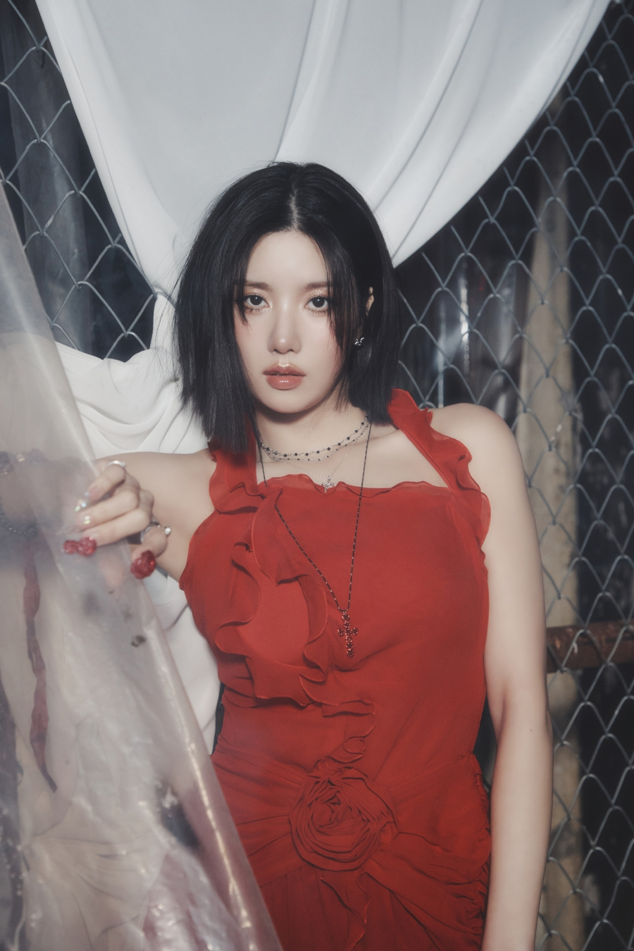 사진