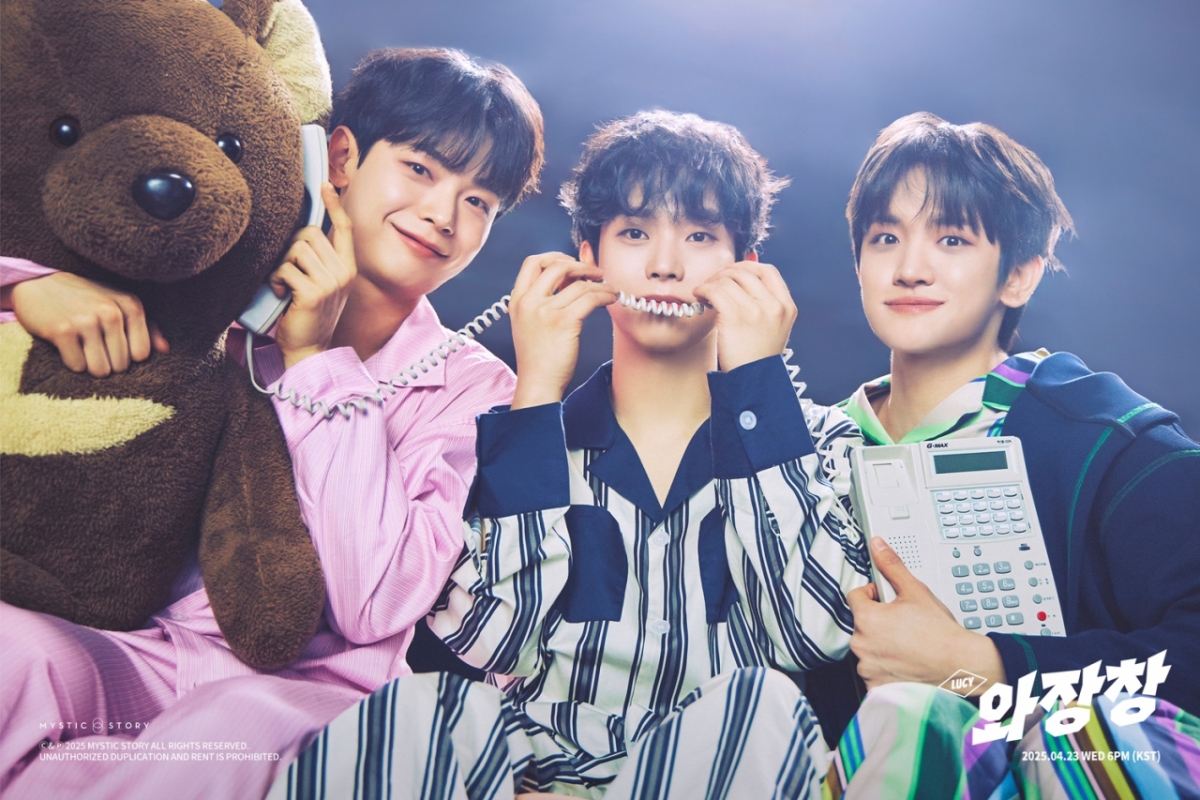 사진