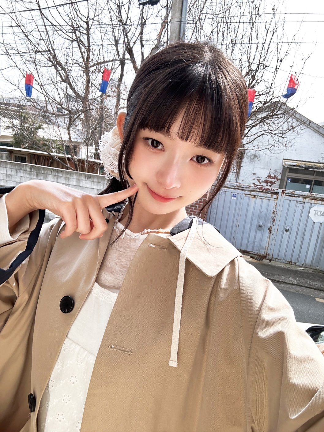 사진