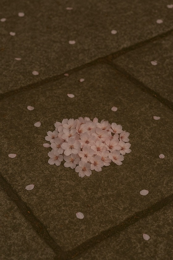 /사진=JMG(더블엑스엔터테인먼트)