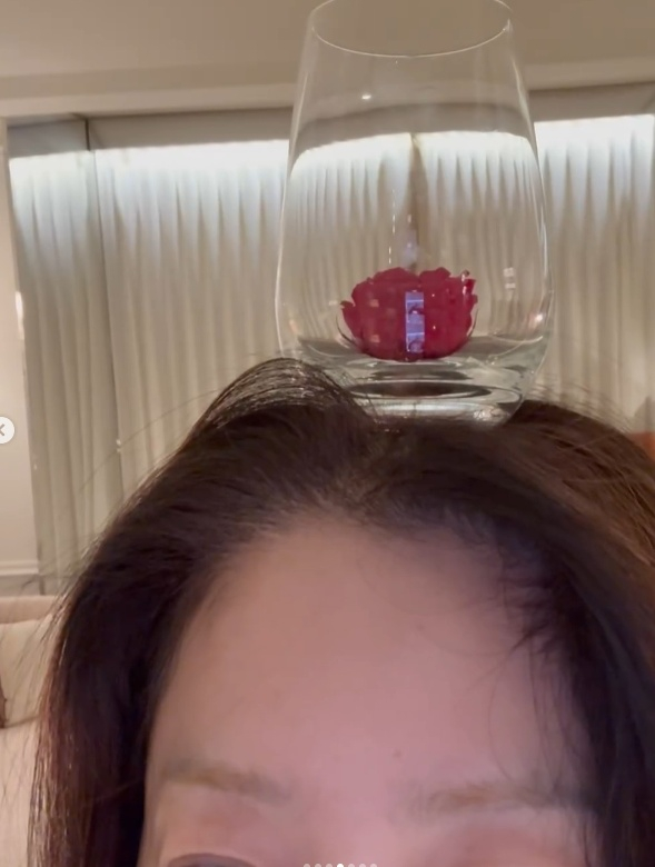 /사진=고현정