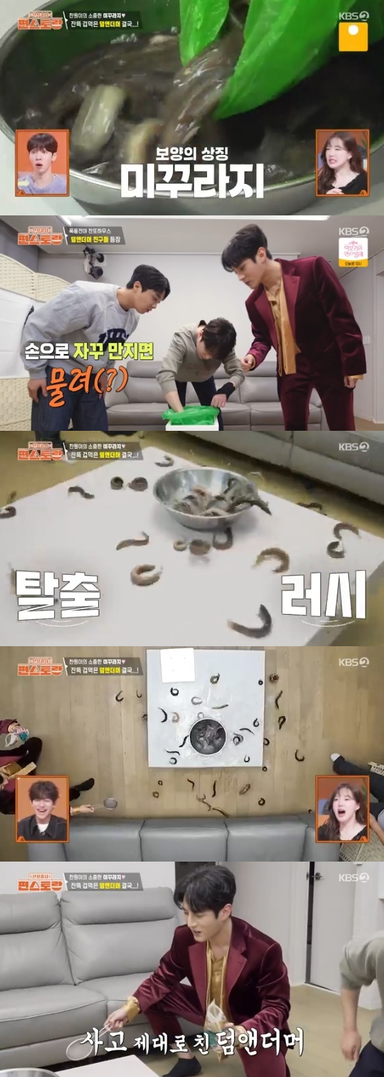 /사진=KBS 2TV 예능 프로그램 '편스토랑' 방송화면