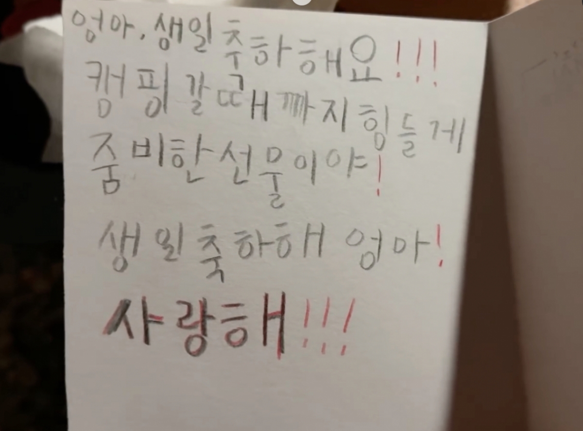 /사진=이시영 SNS