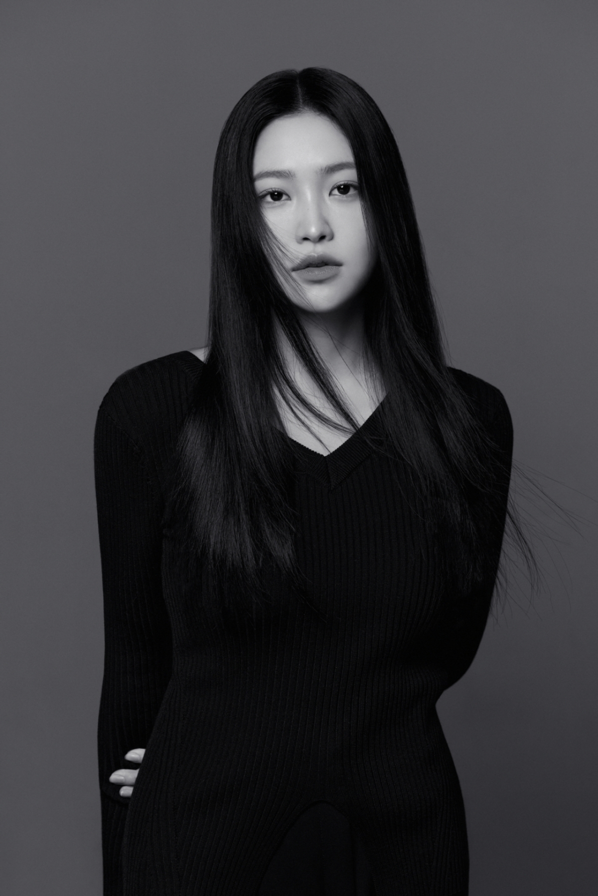 사진