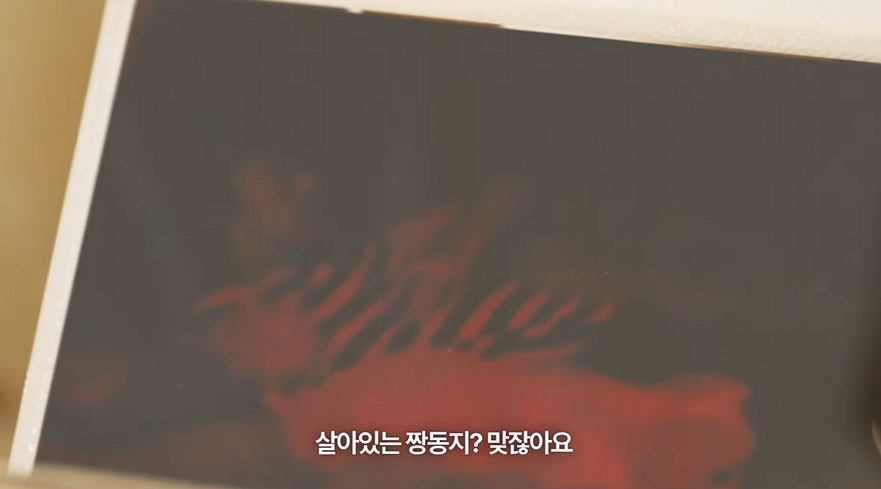 /사진=유튜브 '바로 그 고소영'