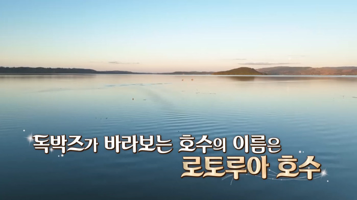 /사진제공=채널S, SK브로드밴드, K·star, NXT