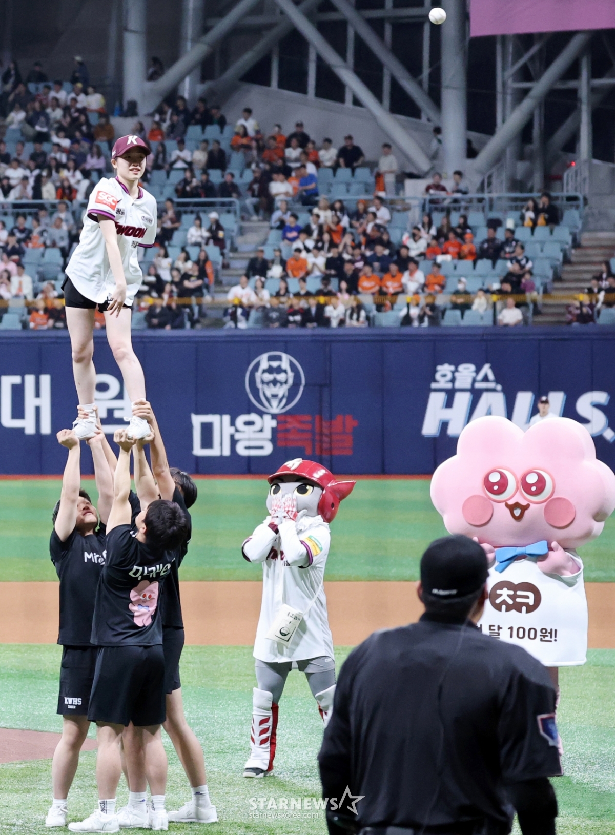 사진