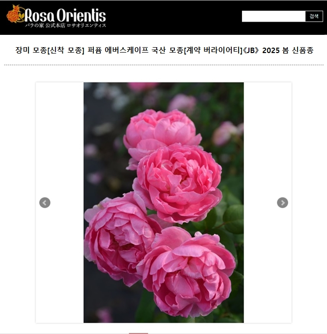 에버랜드 퍼퓸에버스케이프 판매 사이트