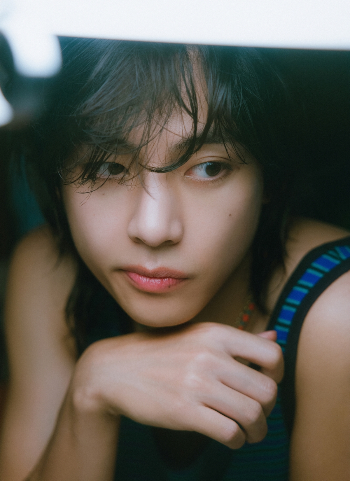 사진