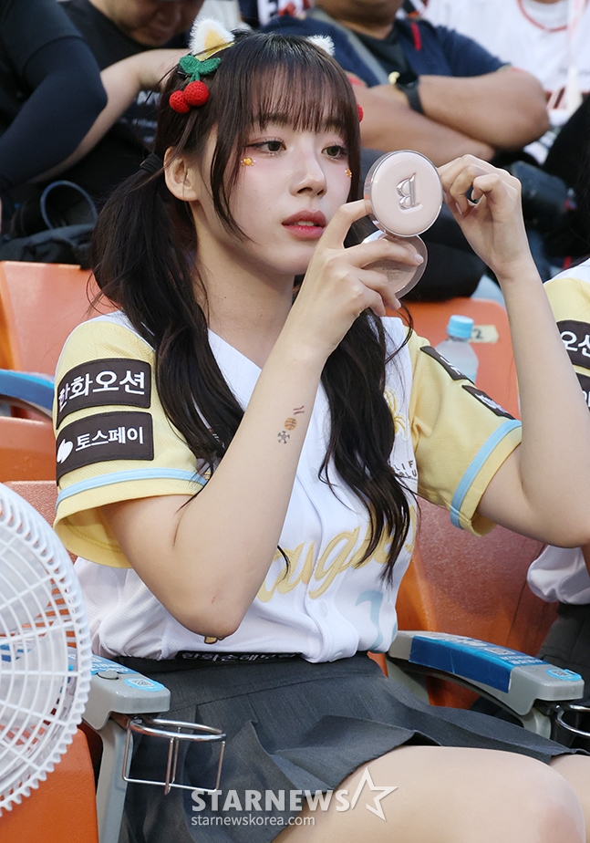 사진