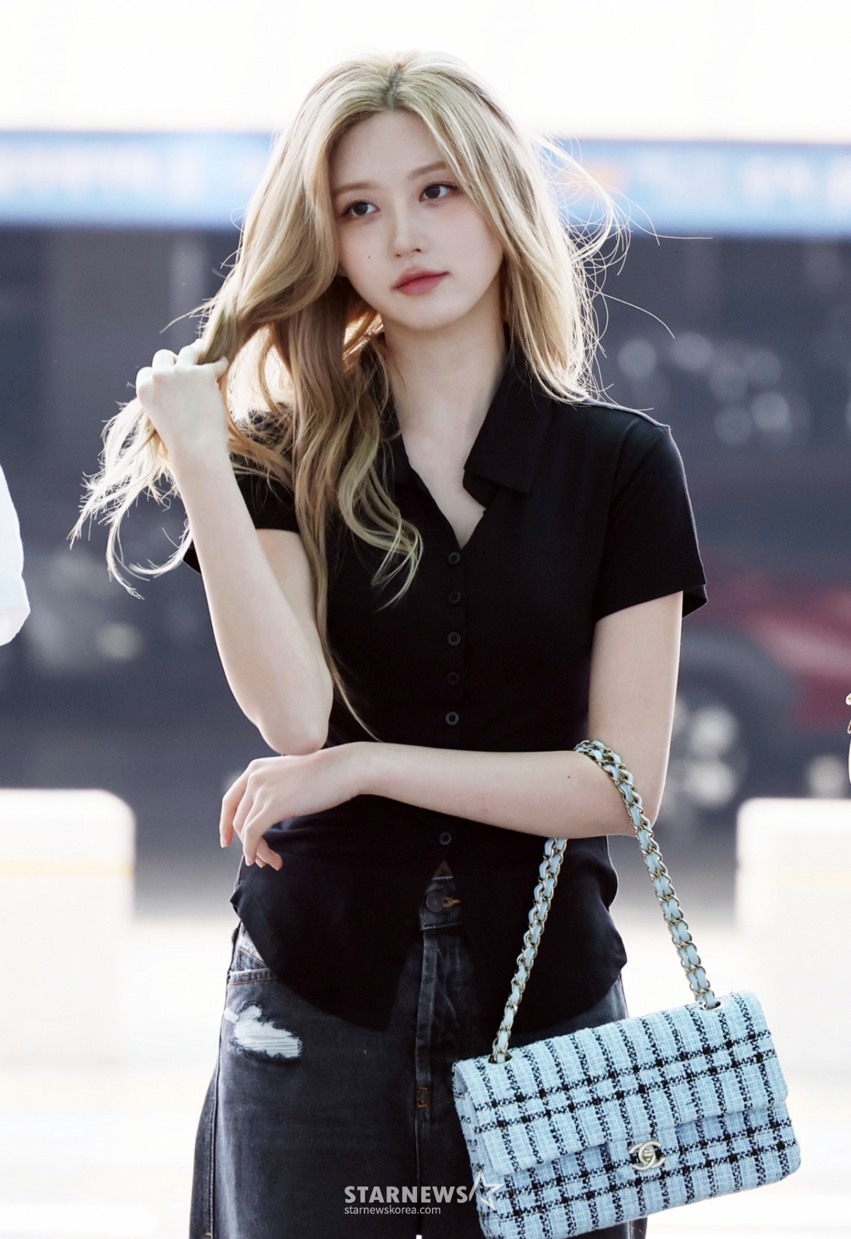 사진