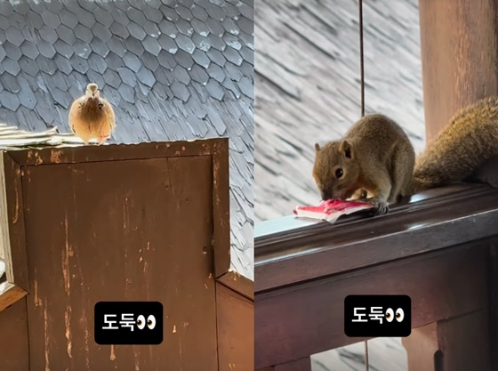 /사진=고윤정 계정